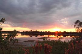 Everglades Sunset