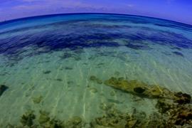 Dry Tortugas Seascape